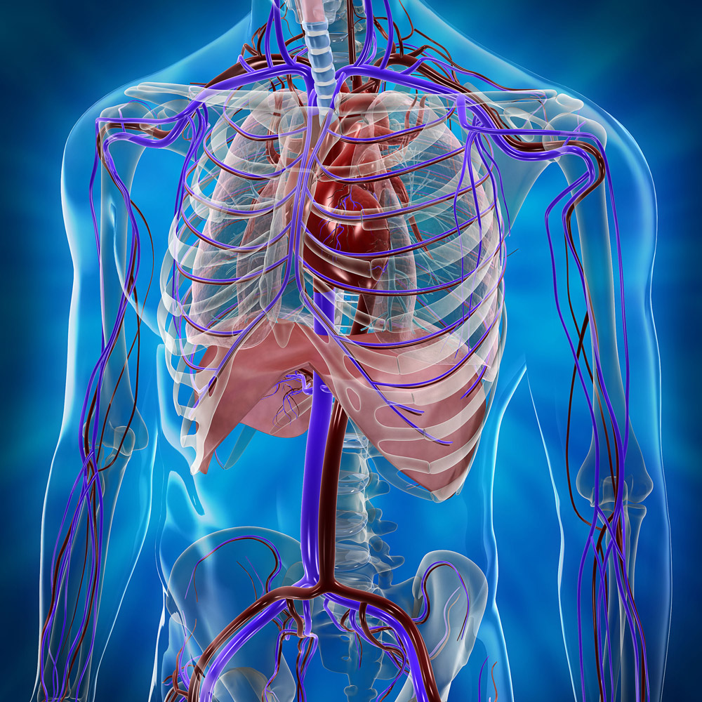 SOAR Wellness SOAR Wellness